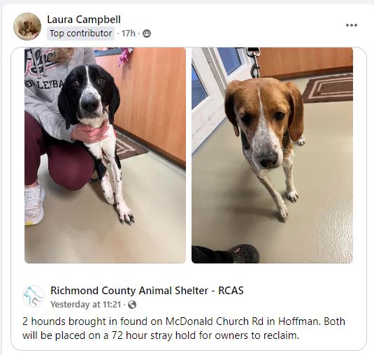 Dogs Found on Mcdonald Church Rd in Hoffman