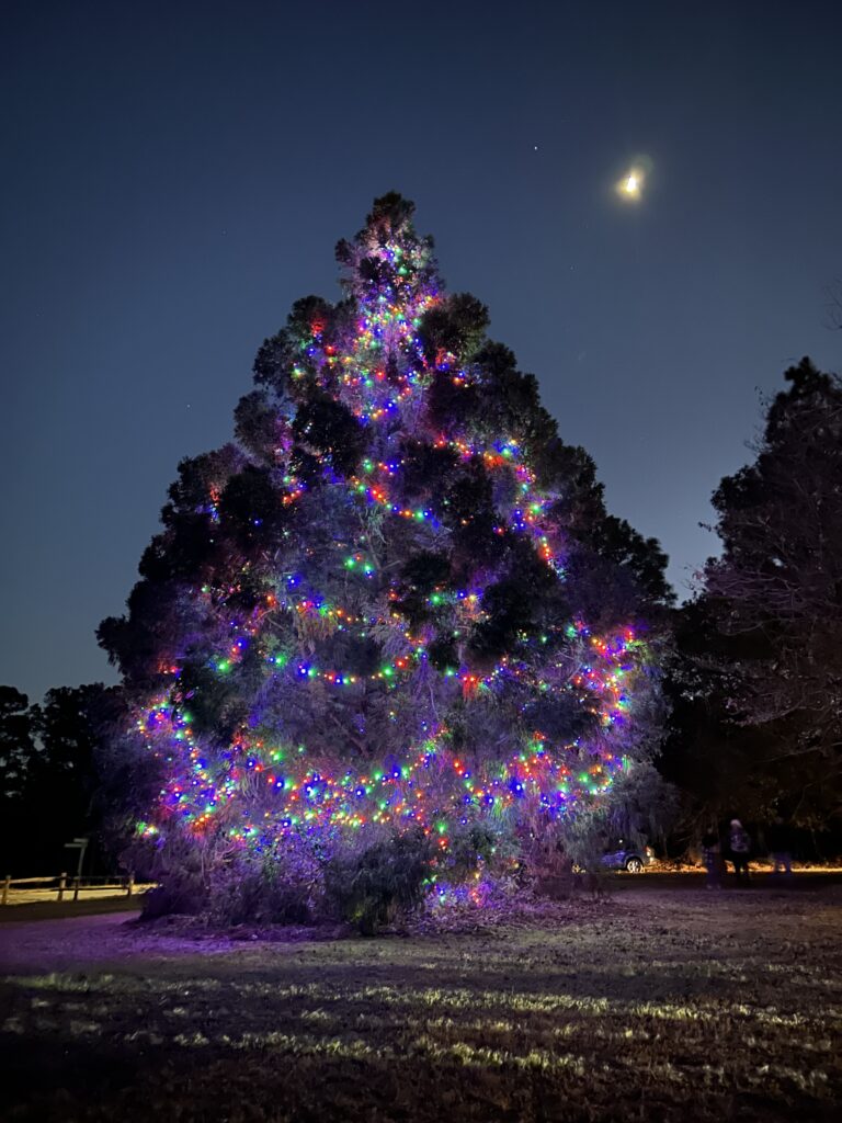 FPOA Christmas Tree Lighting