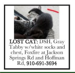 Lost Cat