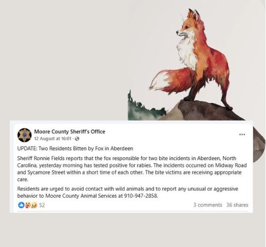 Two Bite Incidents in Aberdeen